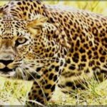 Screenshot_2025-12-05-08-19-44-28_680d03679600f7af0b4c700c6b270fe7