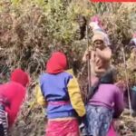 Screenshot_2026-02-03-20-28-42-86_a23b203fd3aafc6dcb84e438dda678b6