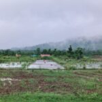 Screenshot_2026-02-23-01-53-15-35_6012fa4d4ddec268fc5c7112cbb265e7