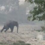 Screenshot_2026-03-15-07-59-17-79_c2c39eb77ce131054e1b7fd47705651e